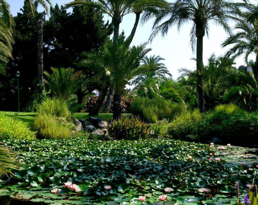 Penthouse for sale in Málaga Puerto Banús Costa del Sol Spain - Jacques Olivier Marbella