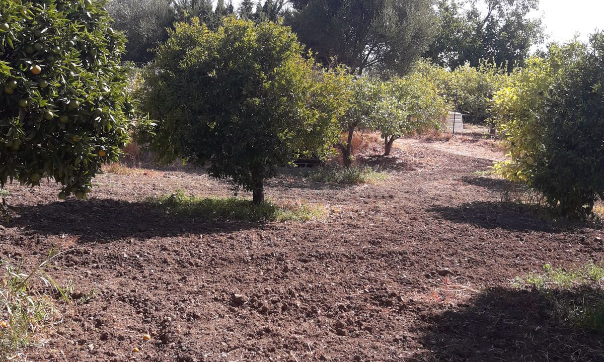 Finca - Cortijo for sale in Málaga Estepona Costa del Sol Spain - Jacques Olivier Marbella